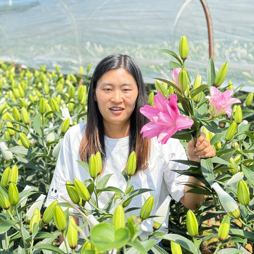 飞飞花卉二号店