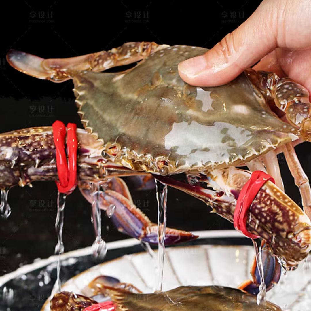 东海四姐弟野生水产