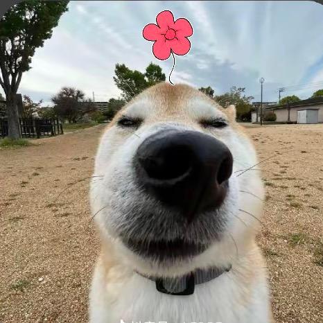 巴別不姆捏扭