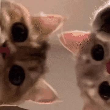 O_o