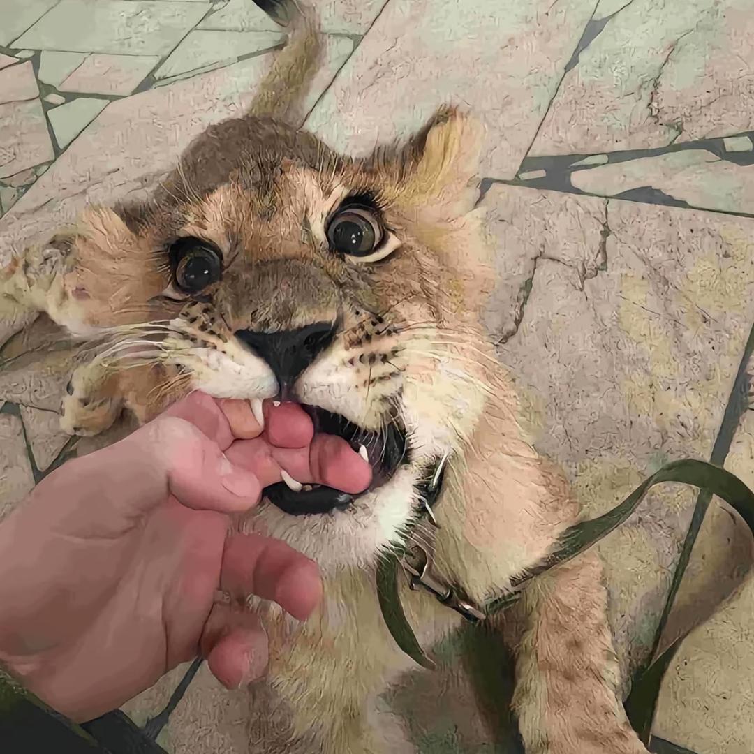 🛩️🛩️🛩️