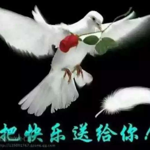 晓米8023
