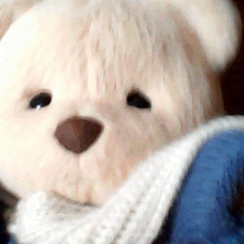 阿树是棵发财树🌈（吸欧气版）