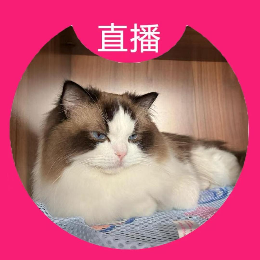 什么鱼ovo