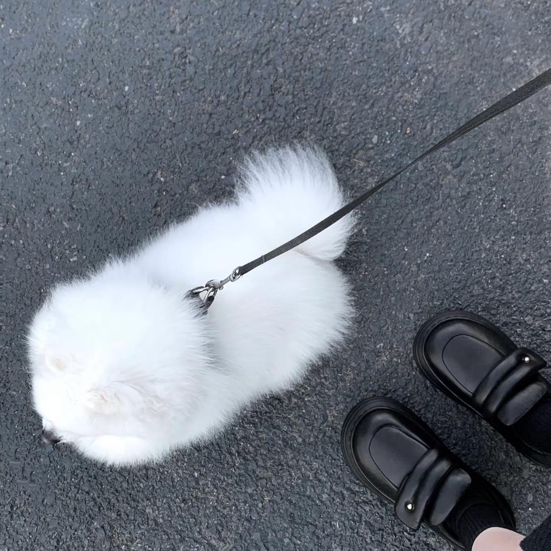 扭小静