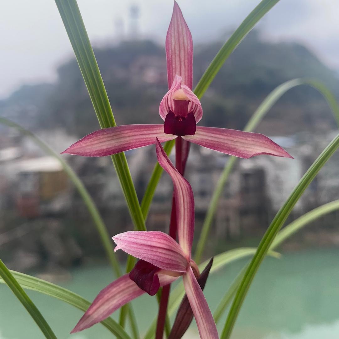 <学点儿>技术吧