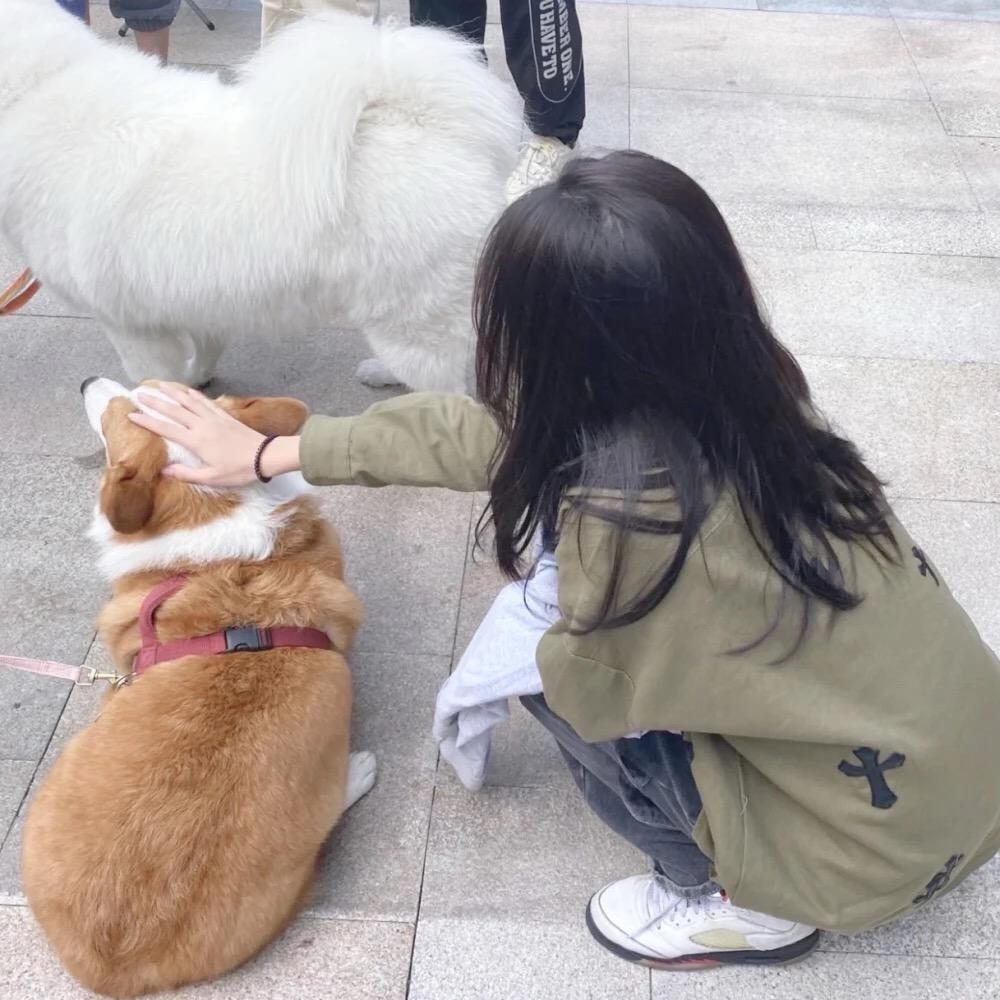 ʚ阡月ɞ