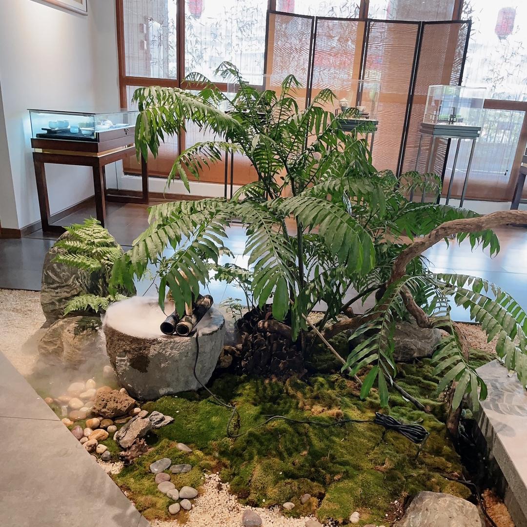 格桑花（梅姐）