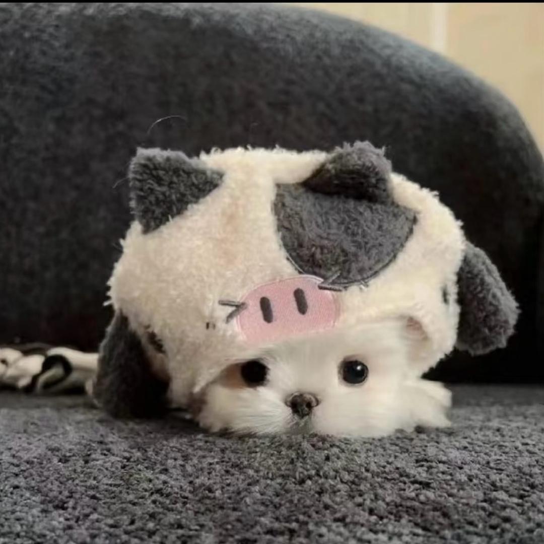 孙铭蔚