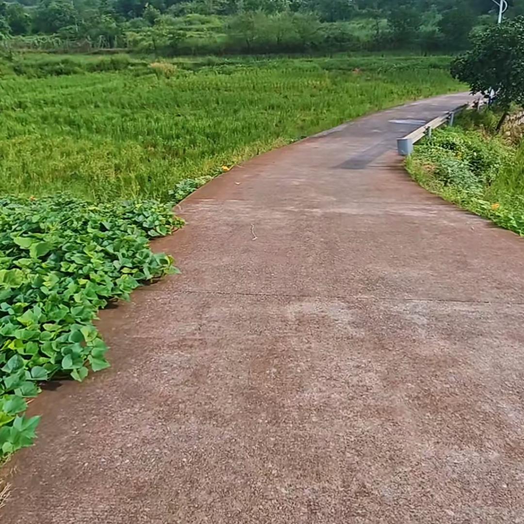 ❣️好物分享🍒