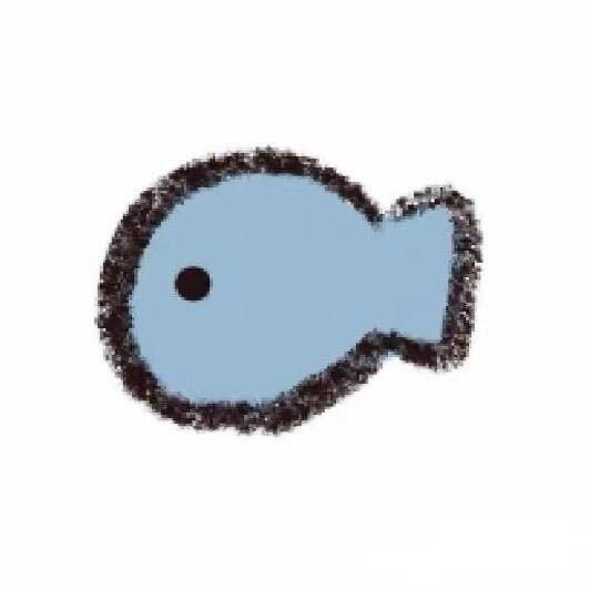 养金鱼🐟
