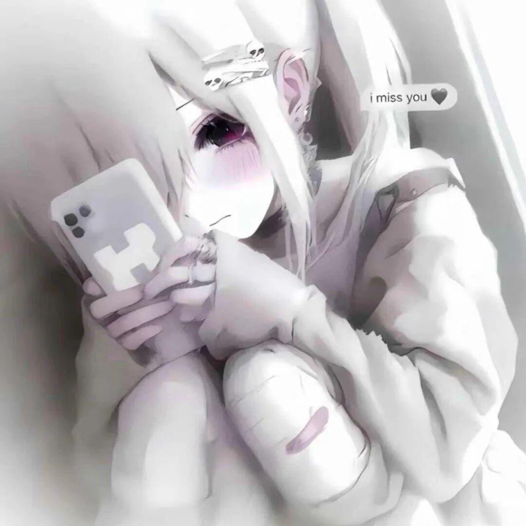鸢