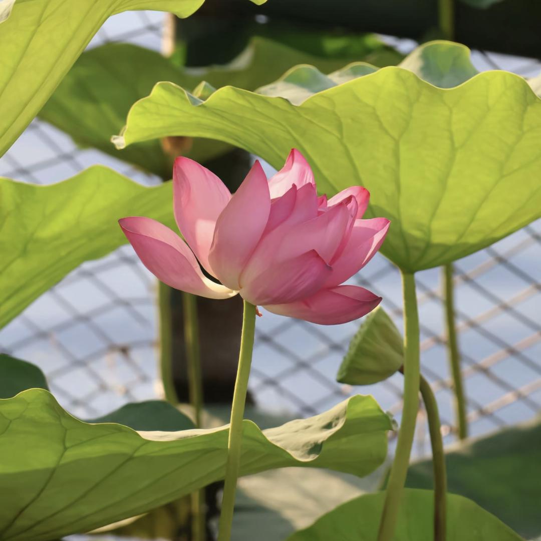 宜都百货精品小铺