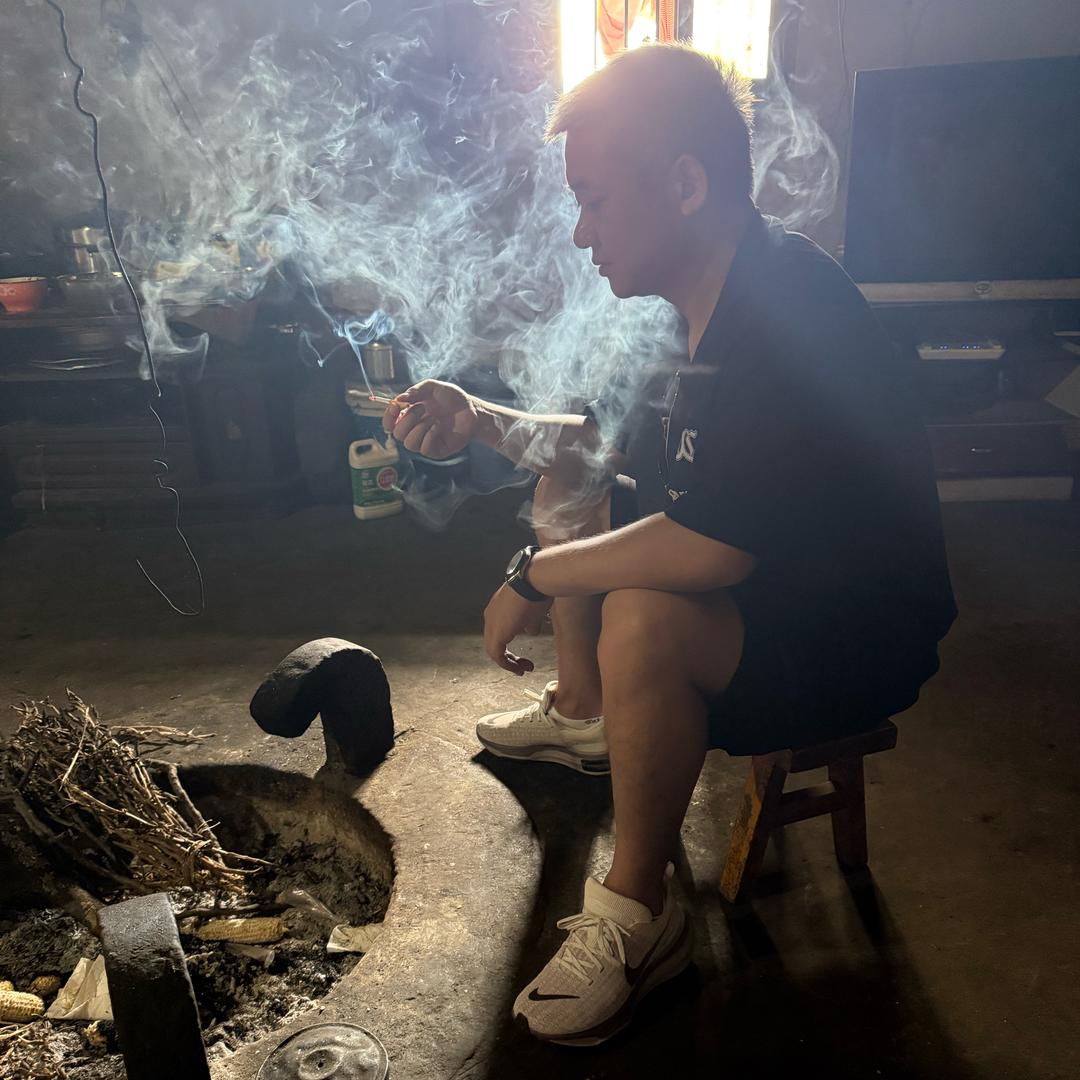 秋天飘落的树叶 🍂