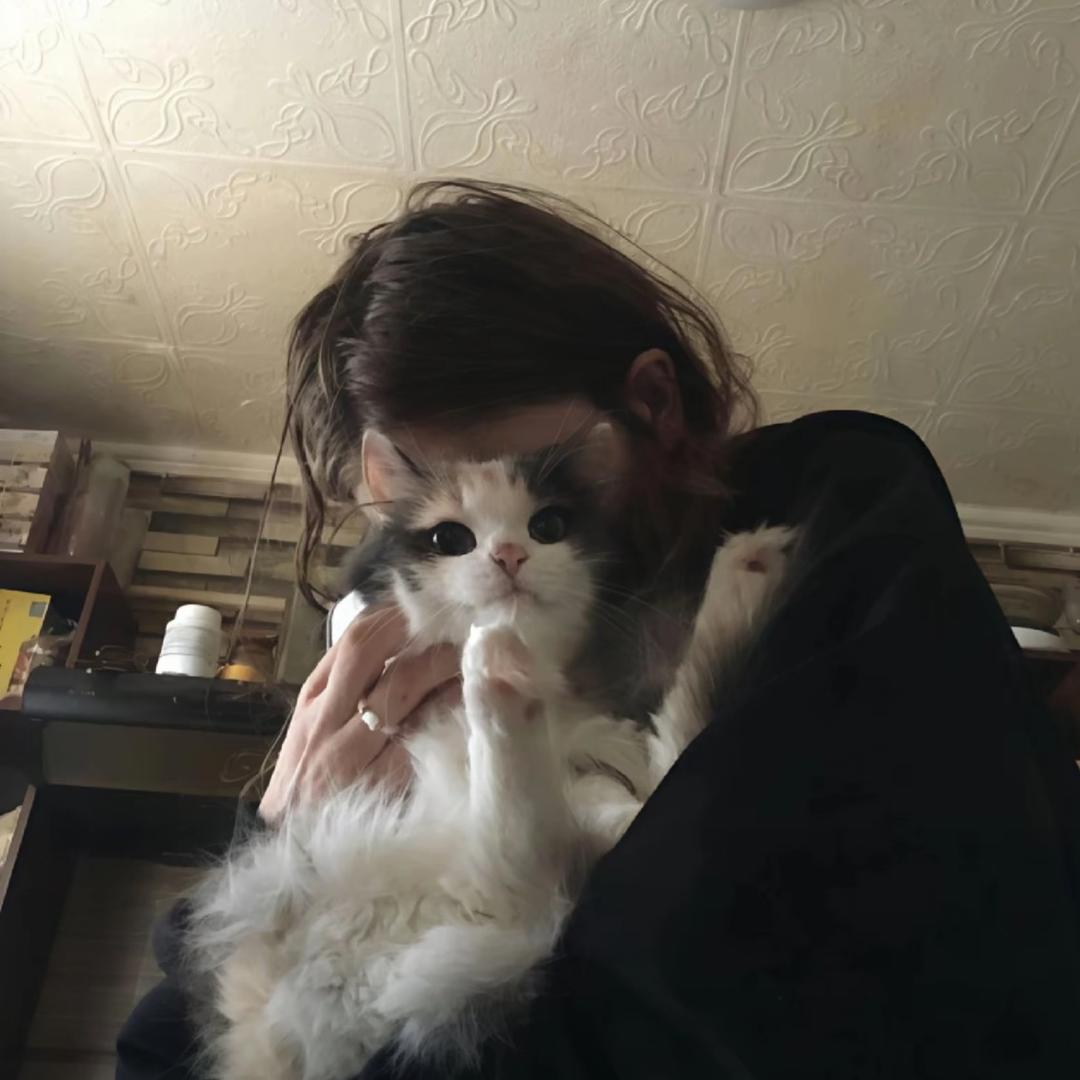 晗的