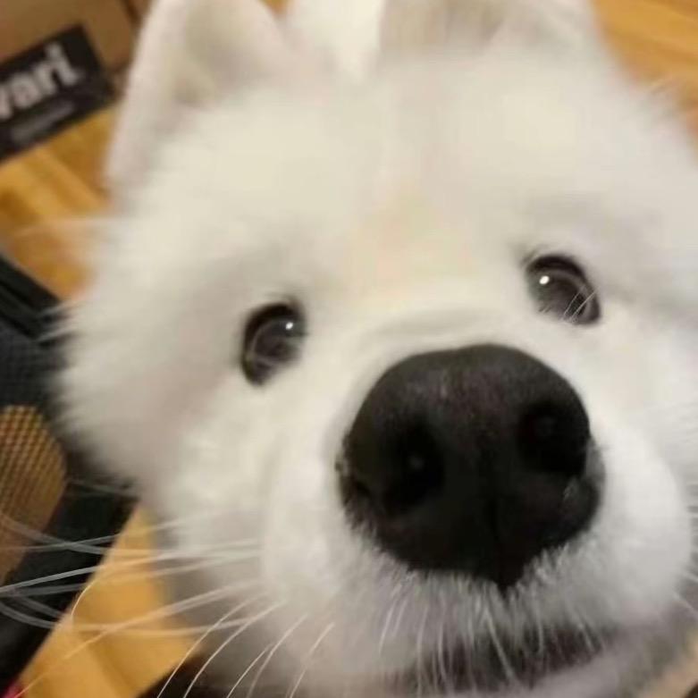 吃不饱、：