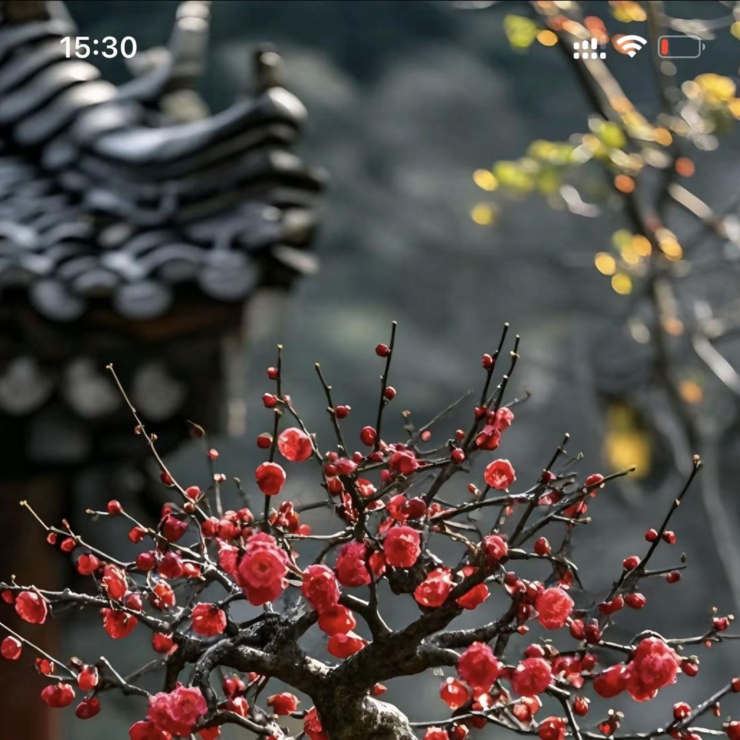 凯文优品梅花馆