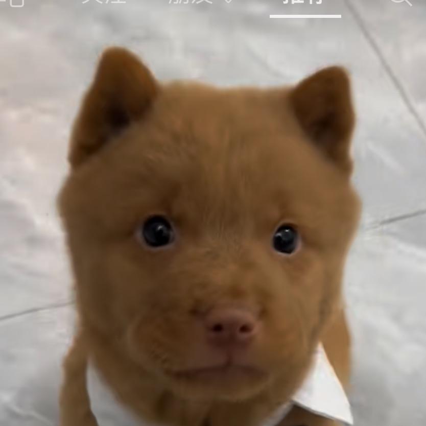 喜欢折腾的小Lu