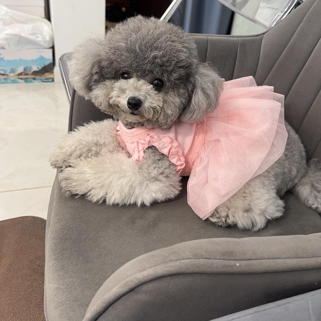 LULU