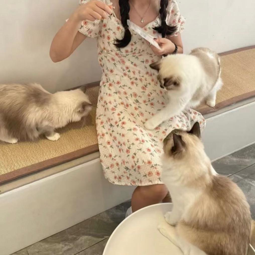 小果果炖粥