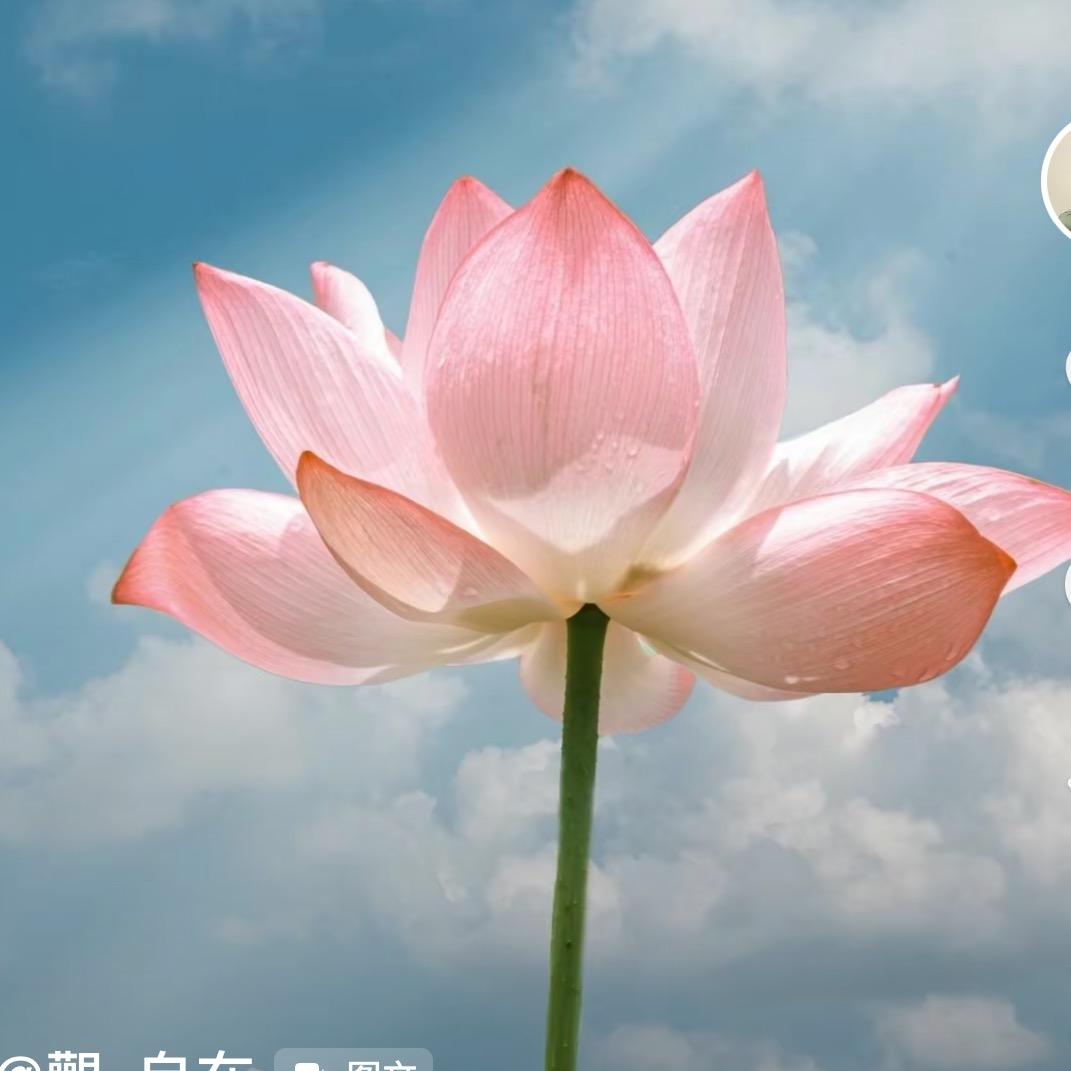 静