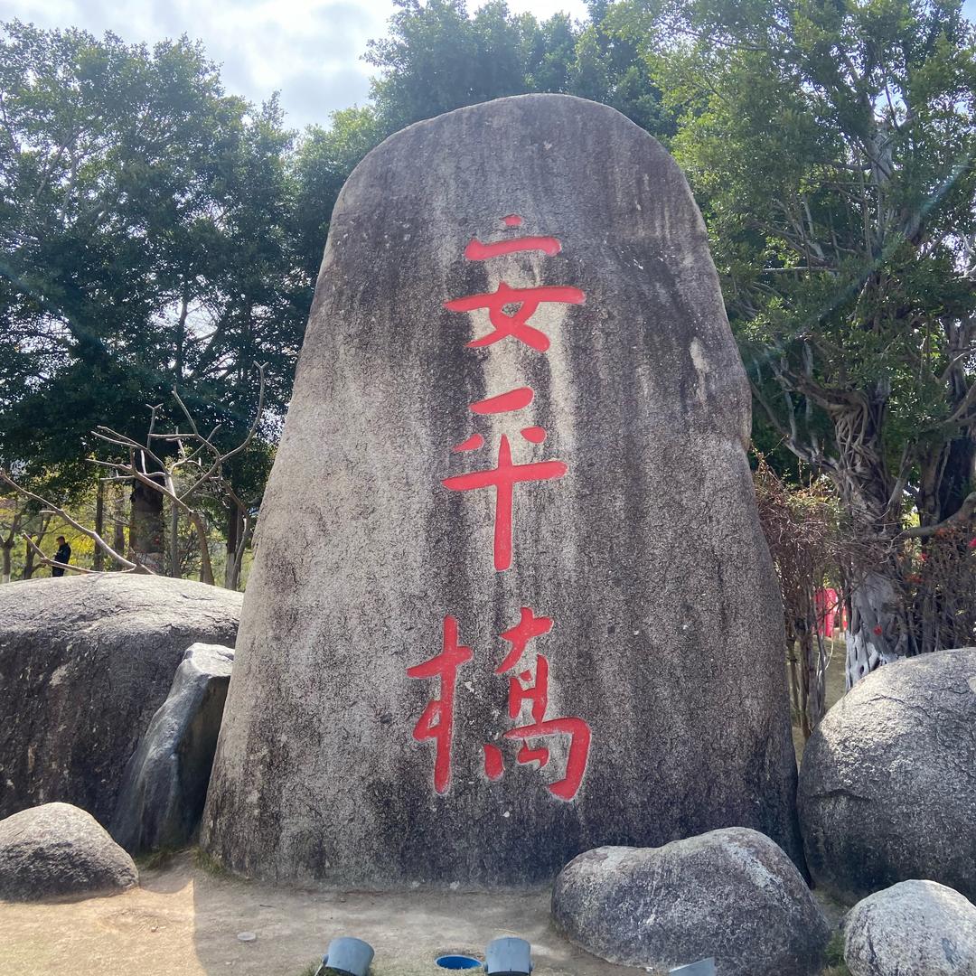 英俊骑士