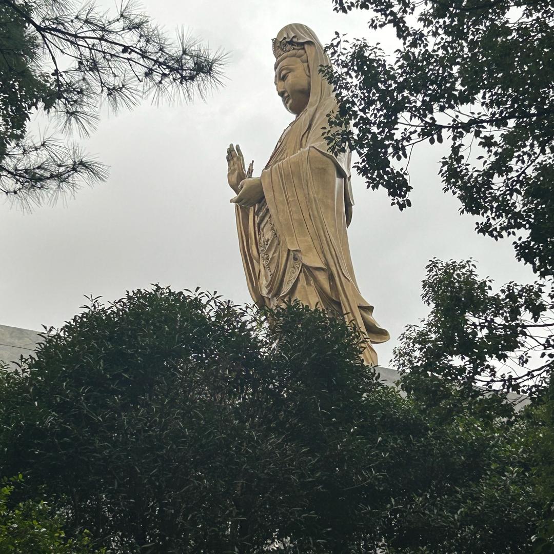 陈陈陈