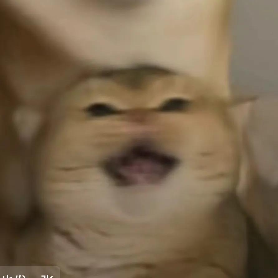 出色可爱咔擦狗