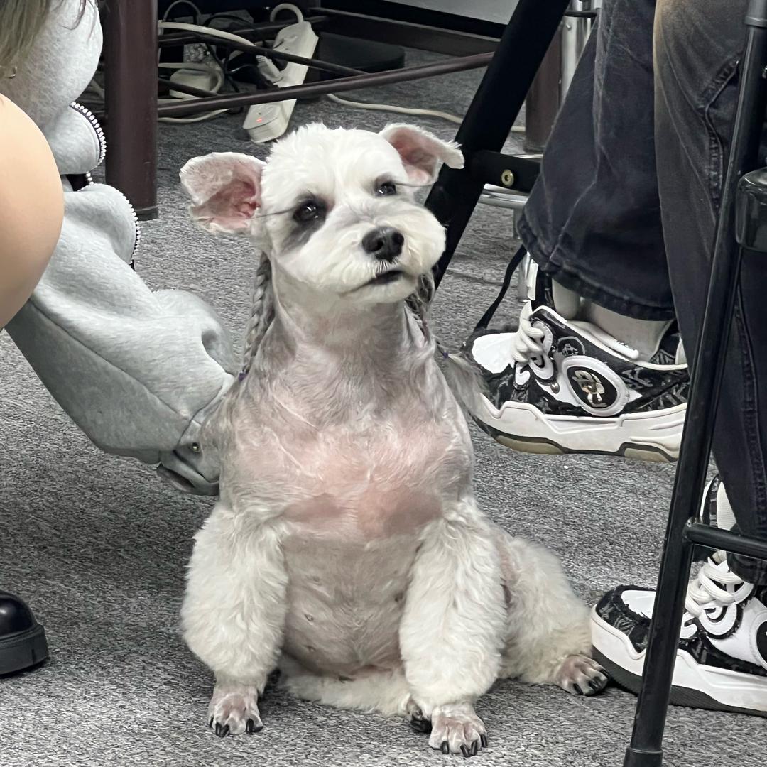 贡老板的店