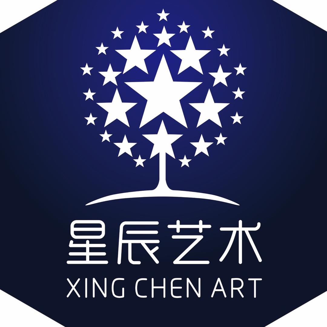 罗平星辰艺术培训学校有限公司