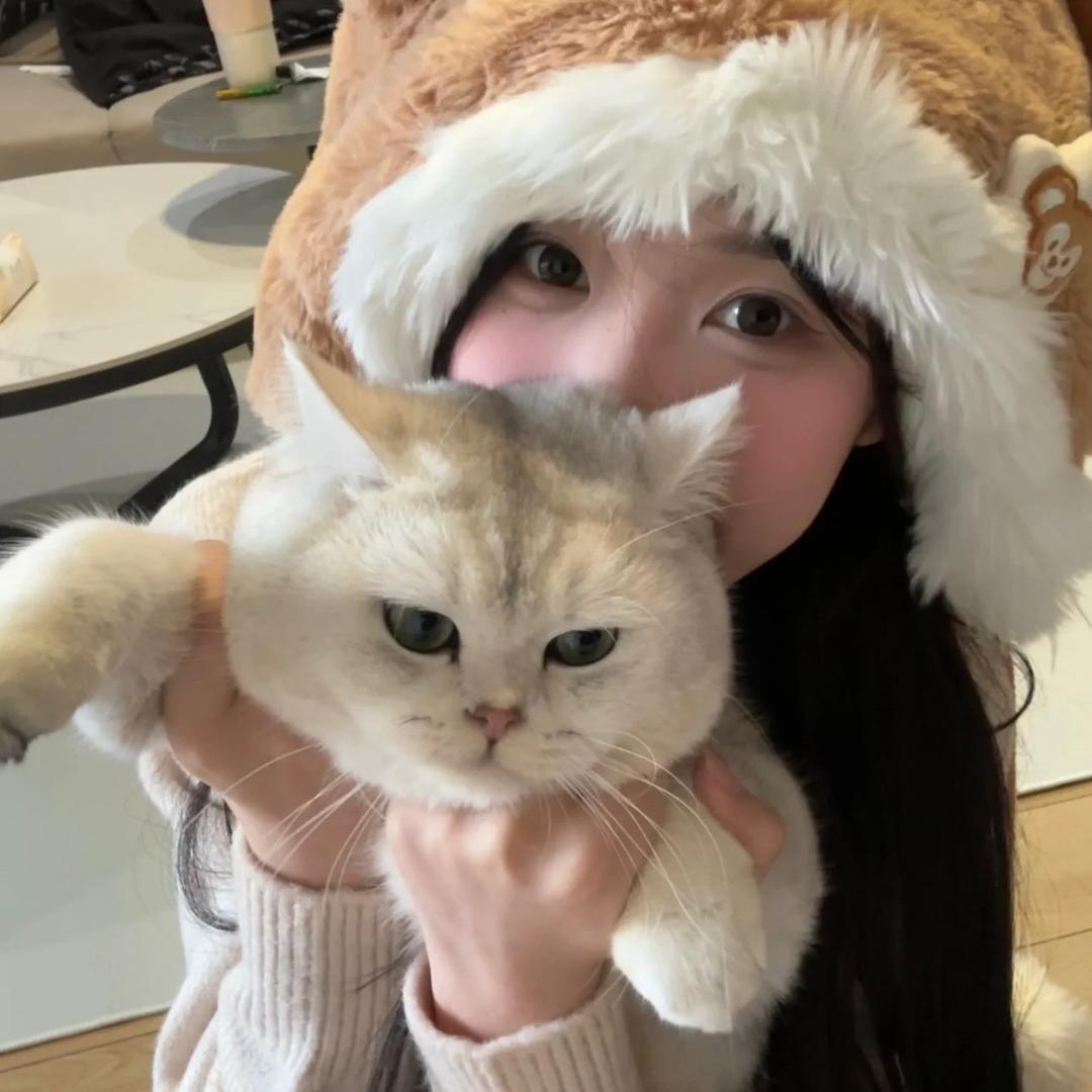 茸茸-