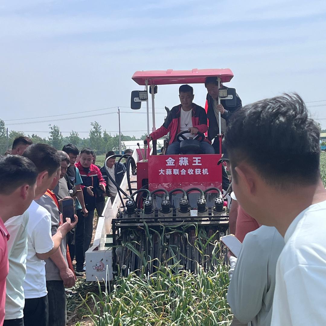 金蒜王大蒜联合收获机