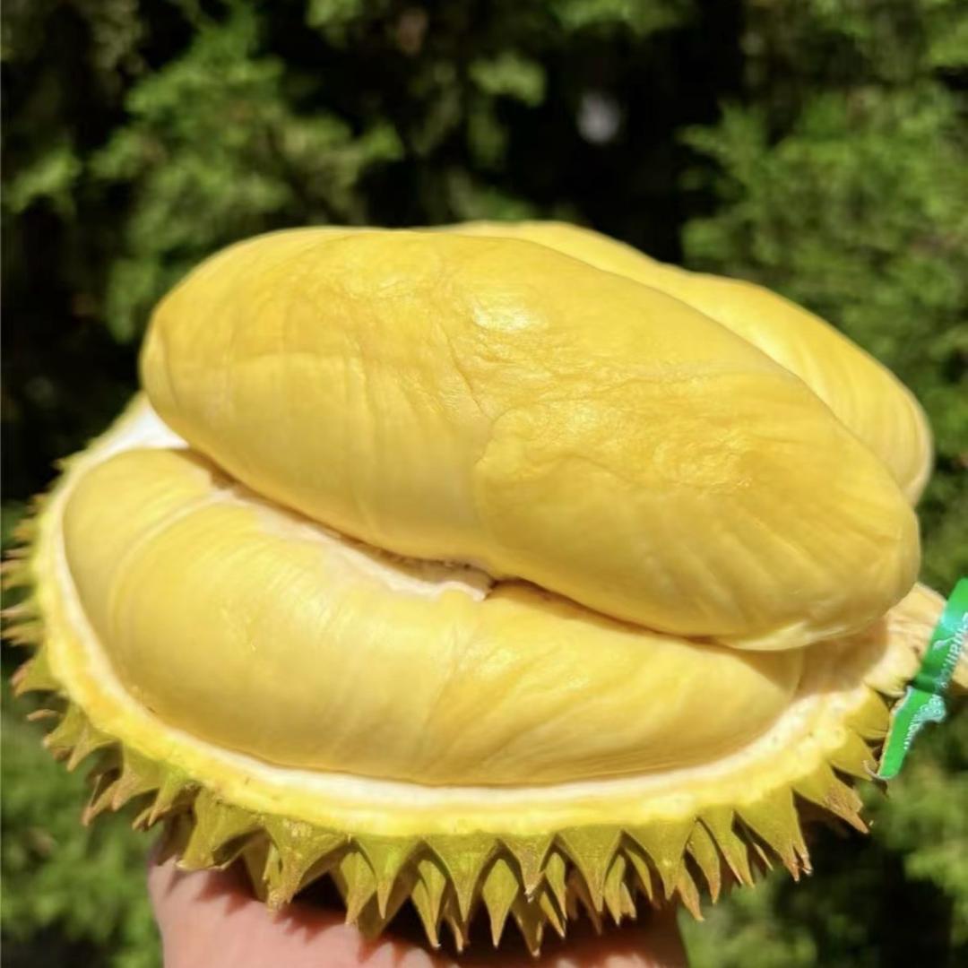 泰榴啦小时达
