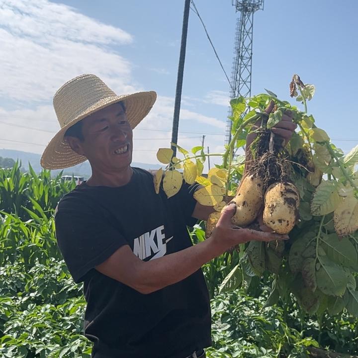 仓满田蔬菜基地