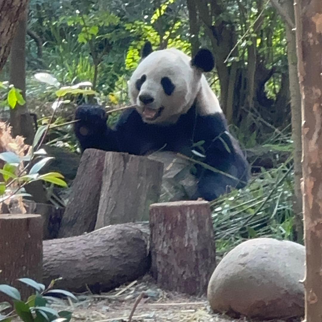 福韵草本生活坊