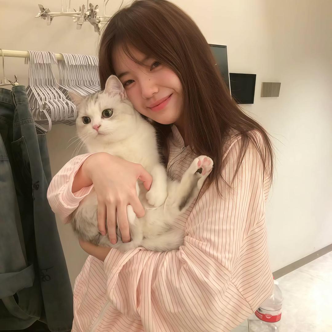 小猫泡芙