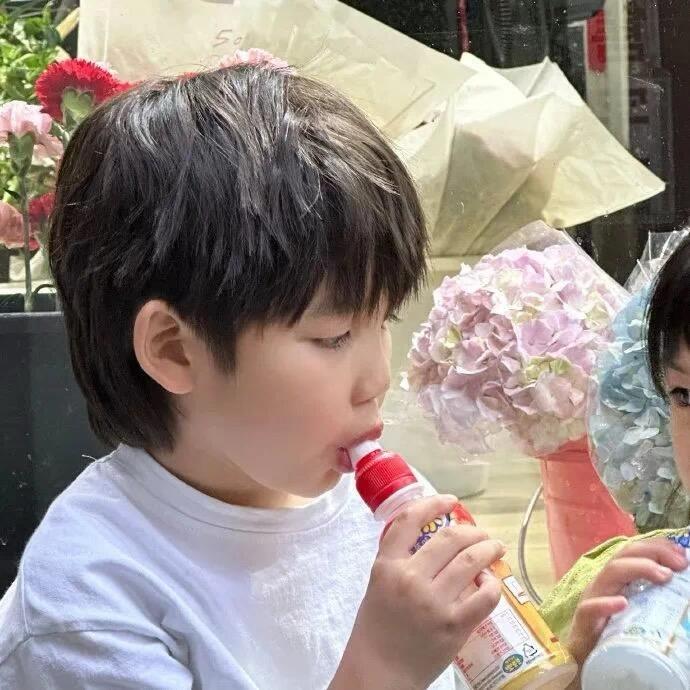 安妮，你的小熊呢