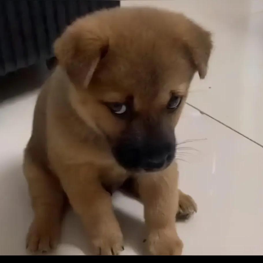 啥也不是⁸¹²🫧