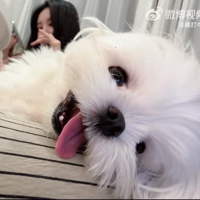 一行不行