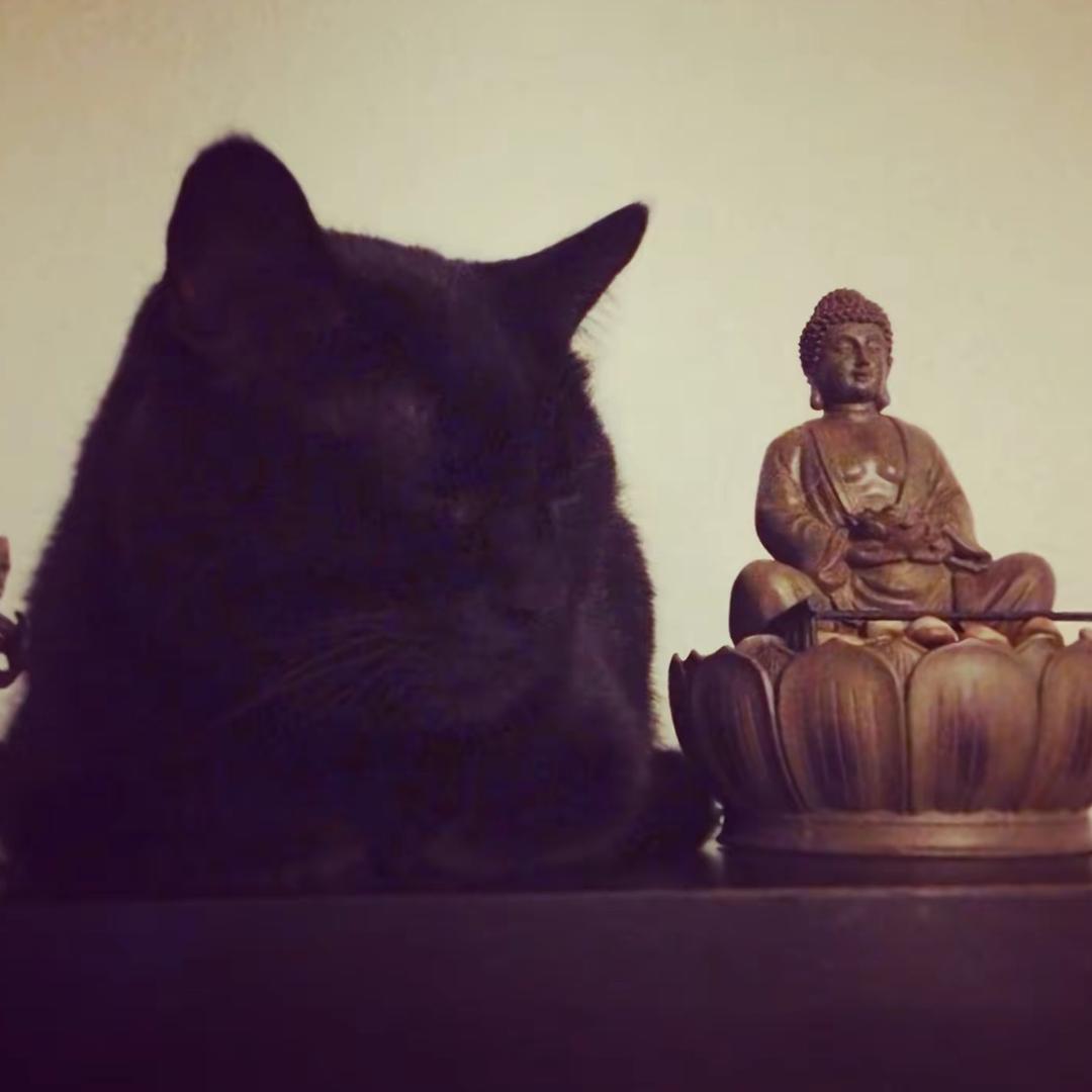 会非的鼻毛