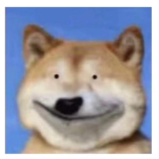 路过