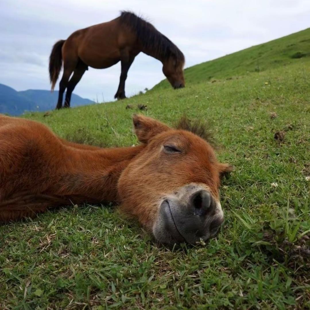 🌈、我想去银行整点金条