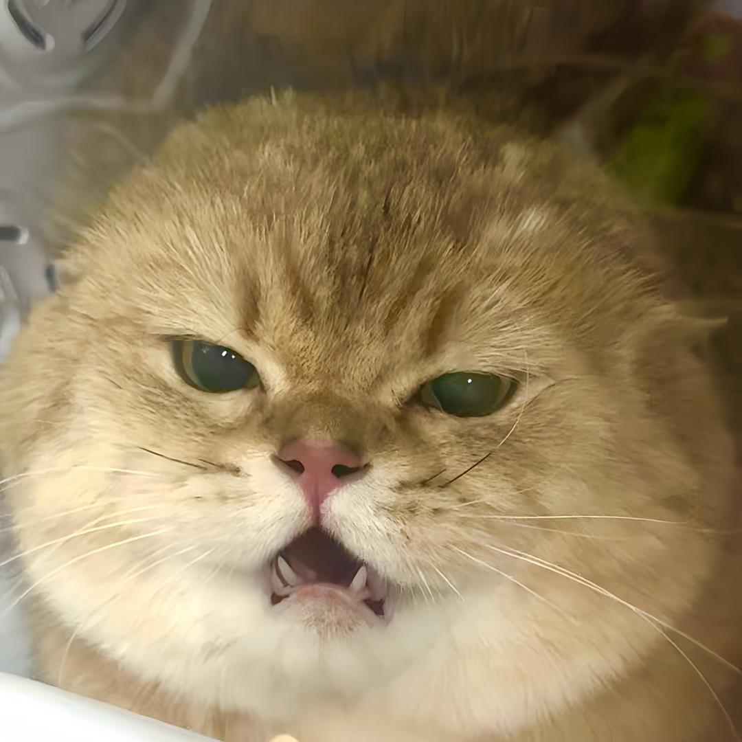 QAQ咩