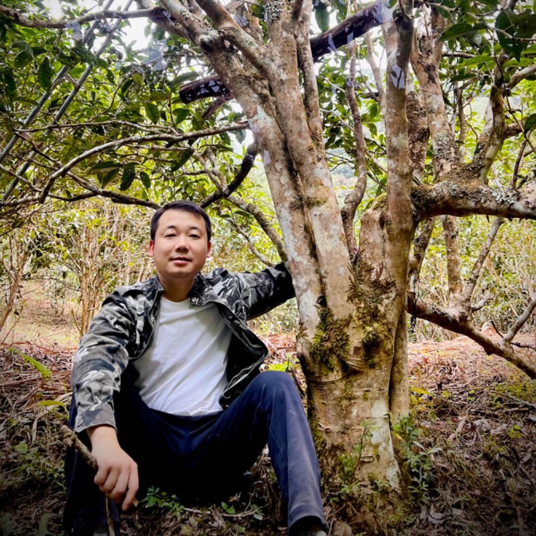 宏泰祥茶业普洱茶专卖店