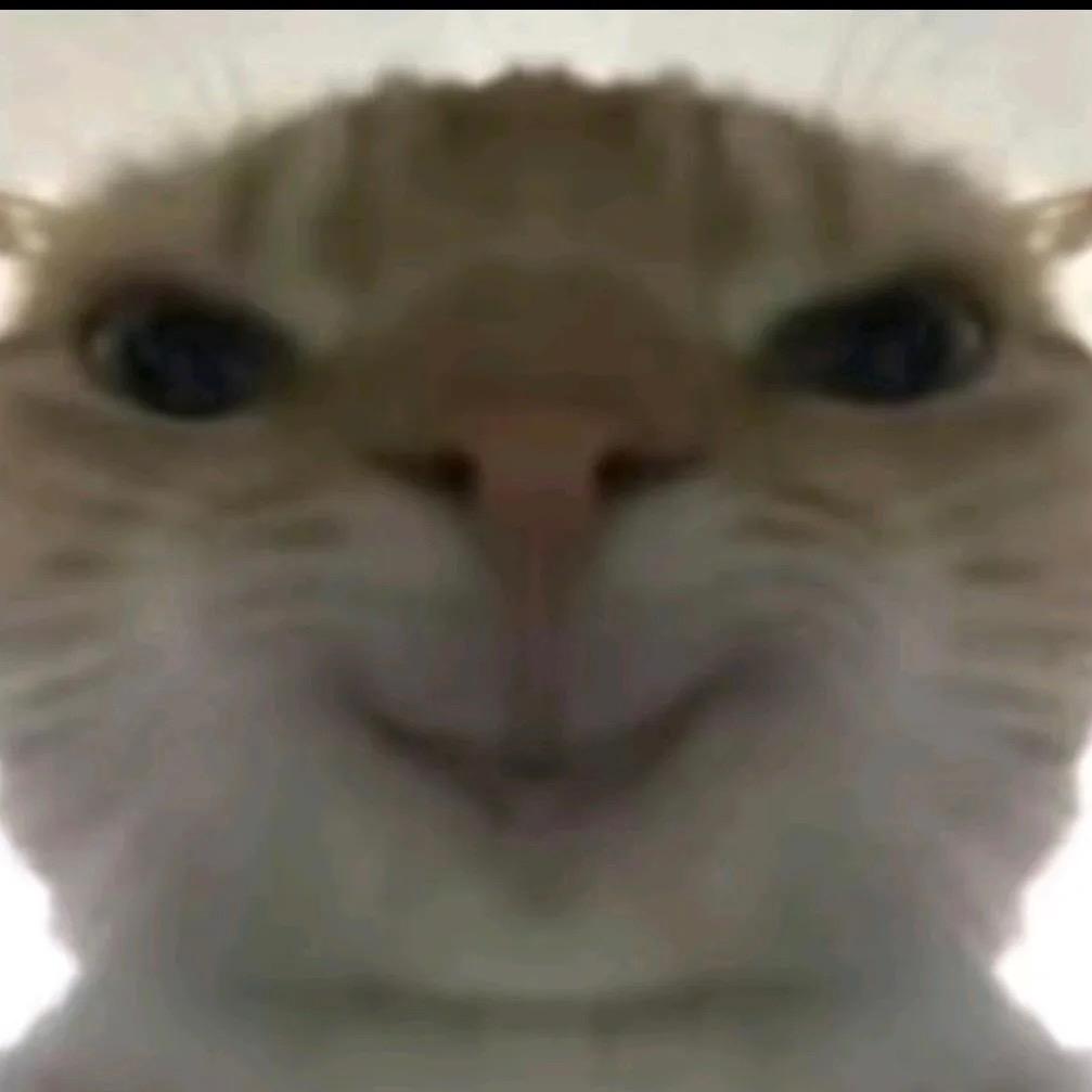 鼠鼠代肝(三角洲老王部门任务)