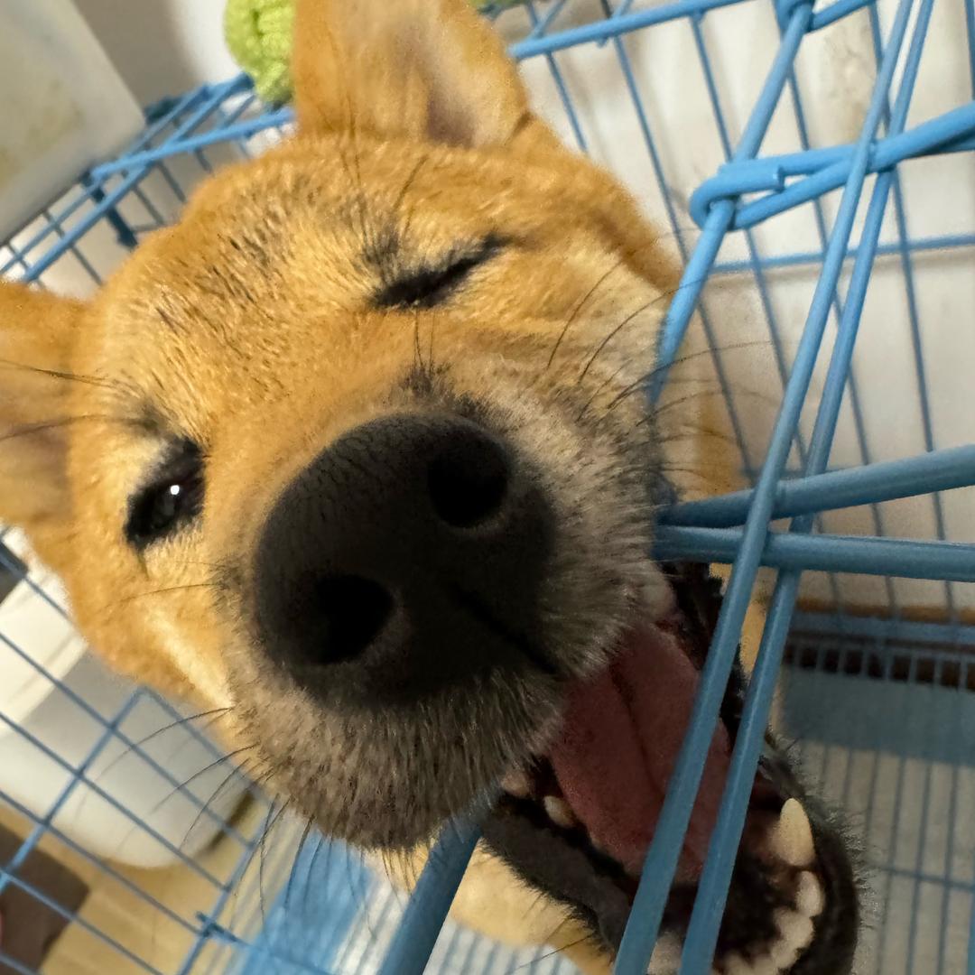 🌈美式少少冰