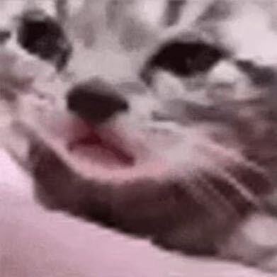 歌词