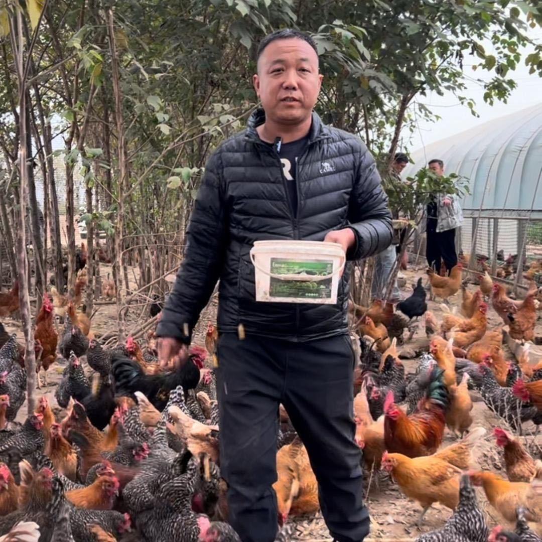 运城新绛老王土鸡蛋