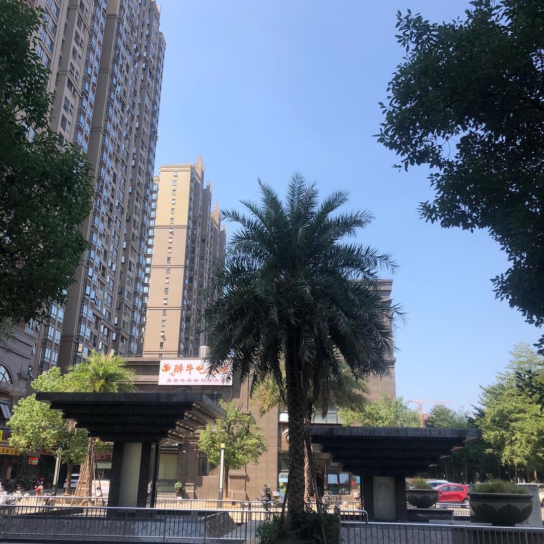 郝邵文推荐好物p