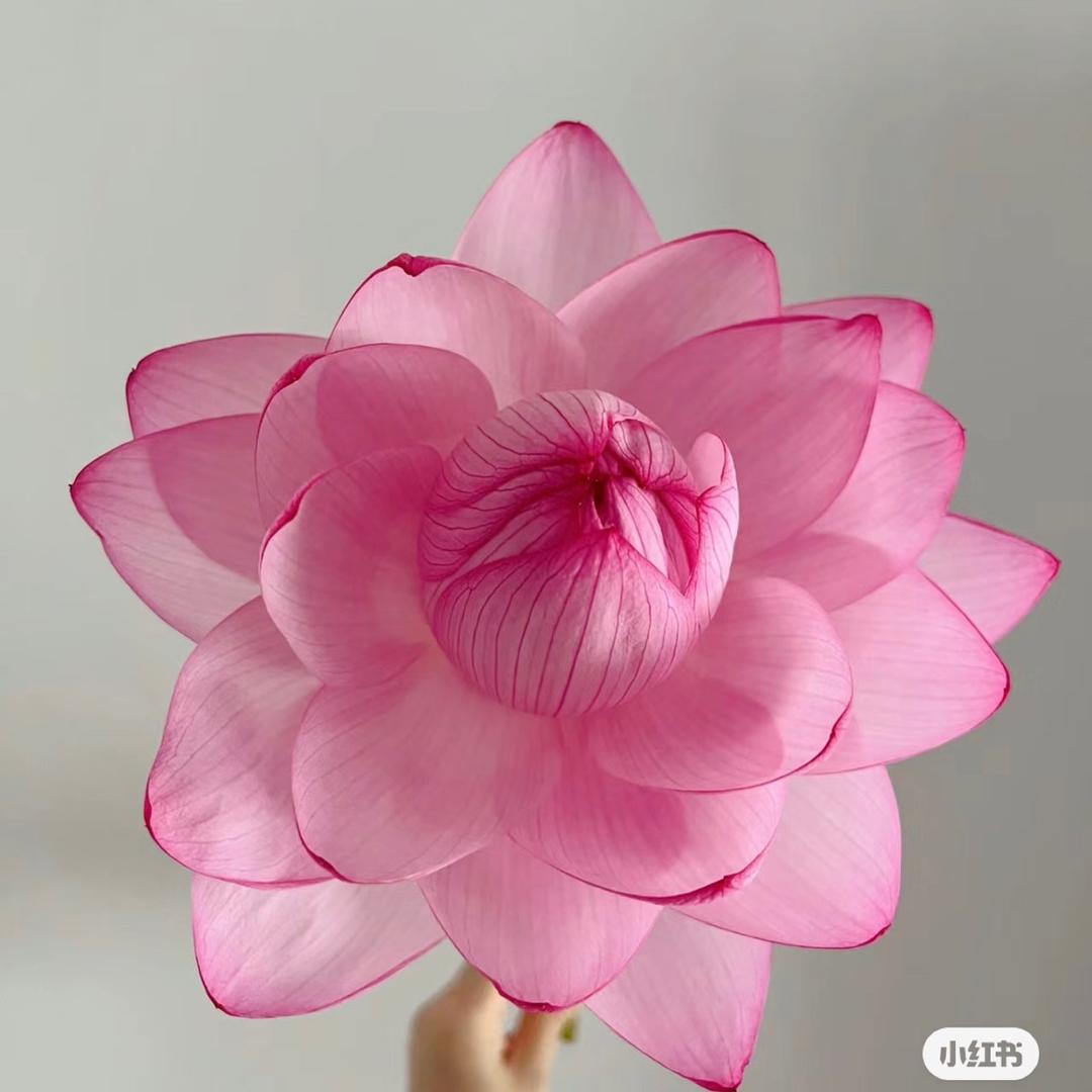 孙小芡💋